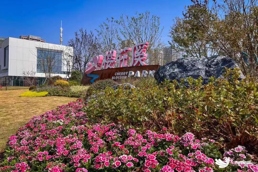 新城桃李郡配套图