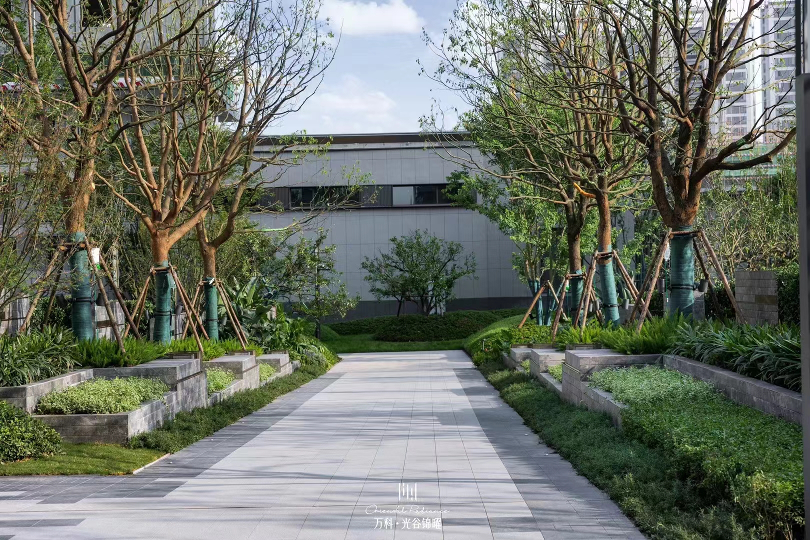 万科光谷锦上实景图