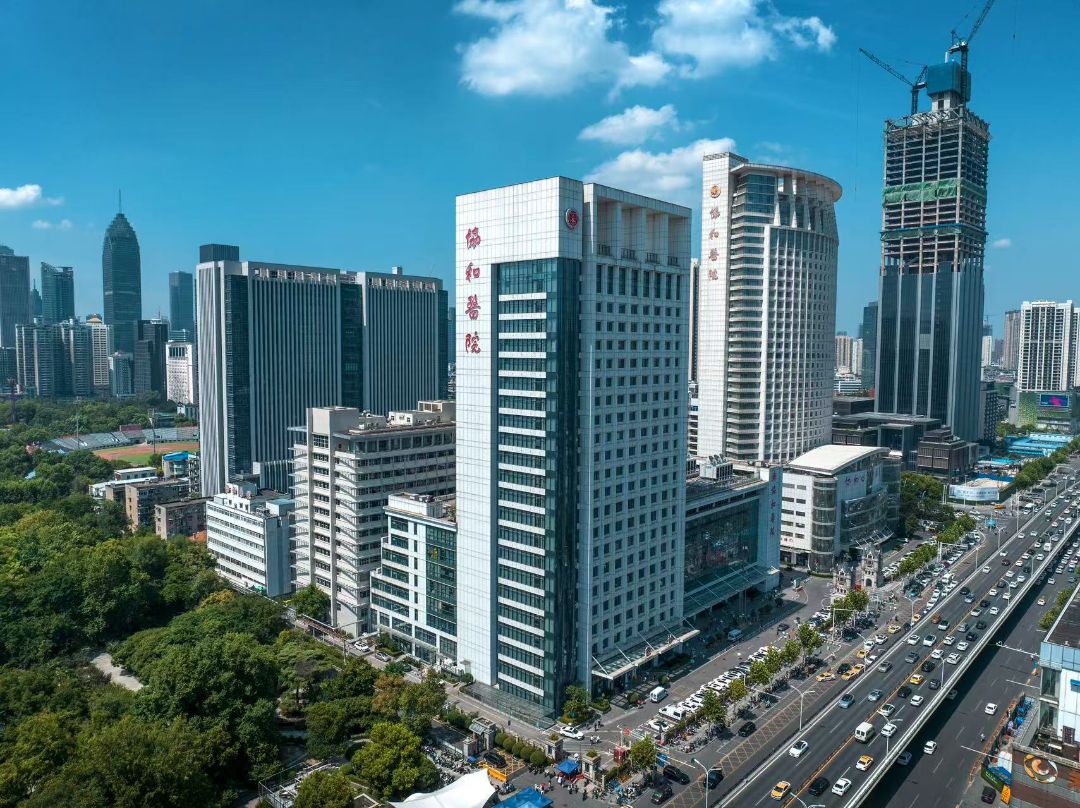 金地汉口峯汇效果图图片