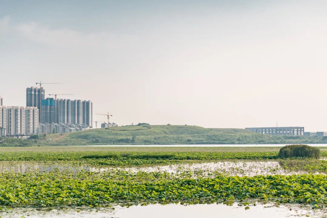 保利时光印象效果图图片