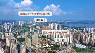 东湖ONE效果图