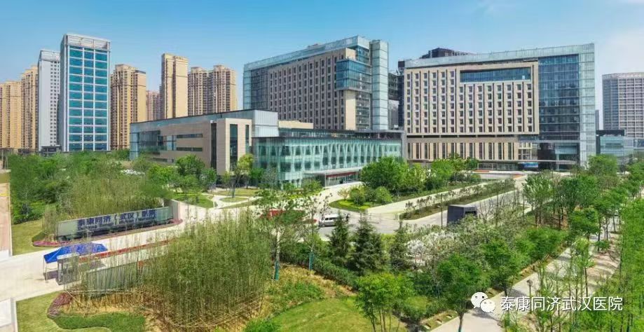 中关村动漫城效果图图片