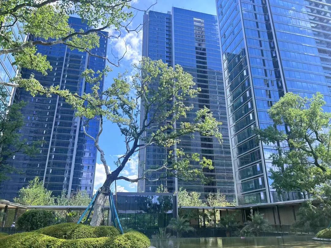 绿城湖畔雲庐效果图图片