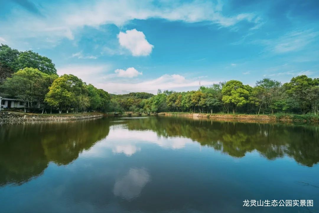 车都春台里配套图