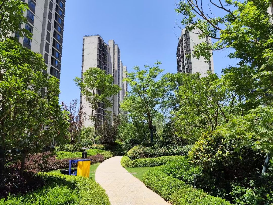 绿都.中央公园效果图图片