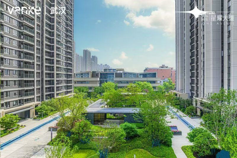 万科华生星耀大道效果图图片