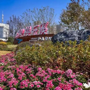 首开国风上观配套图