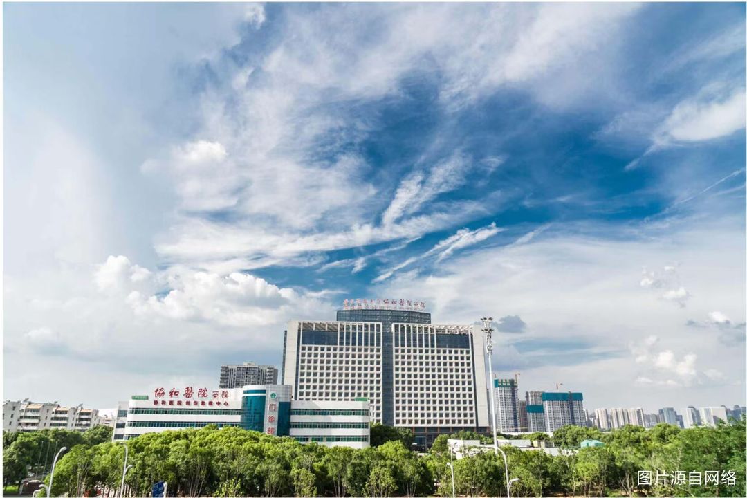 武汉城建.电建璟樾府配套图