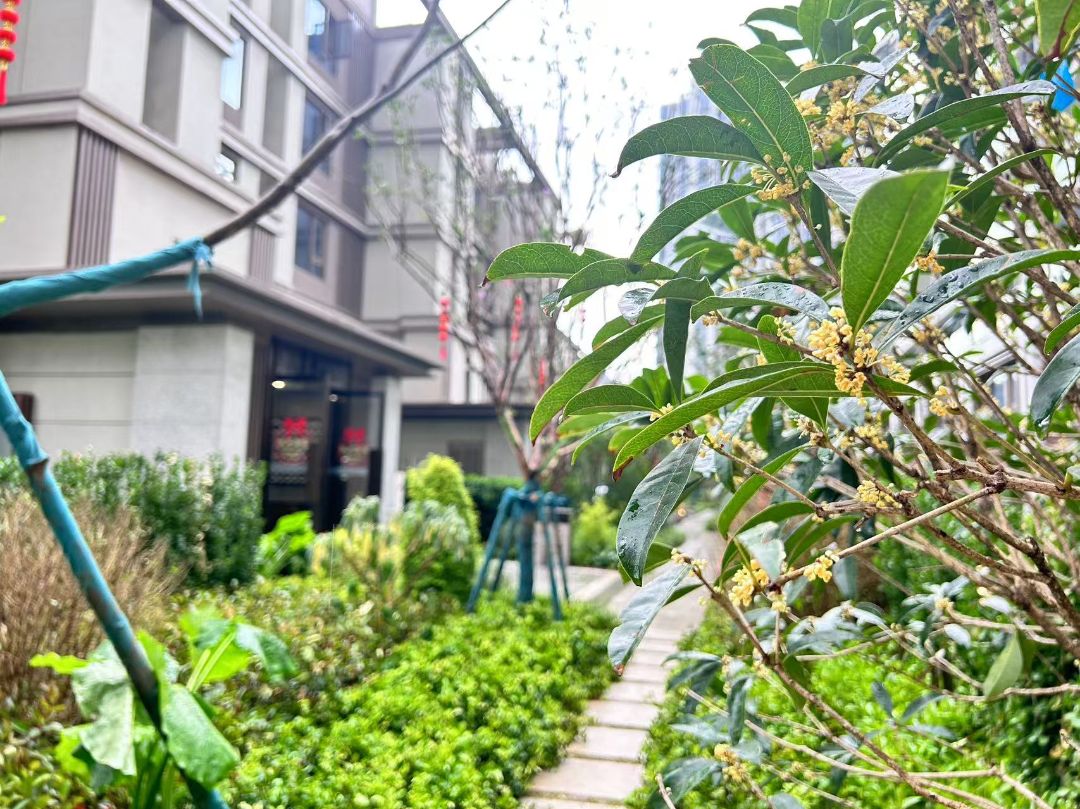禹州新希望.雍禧兰台实景图