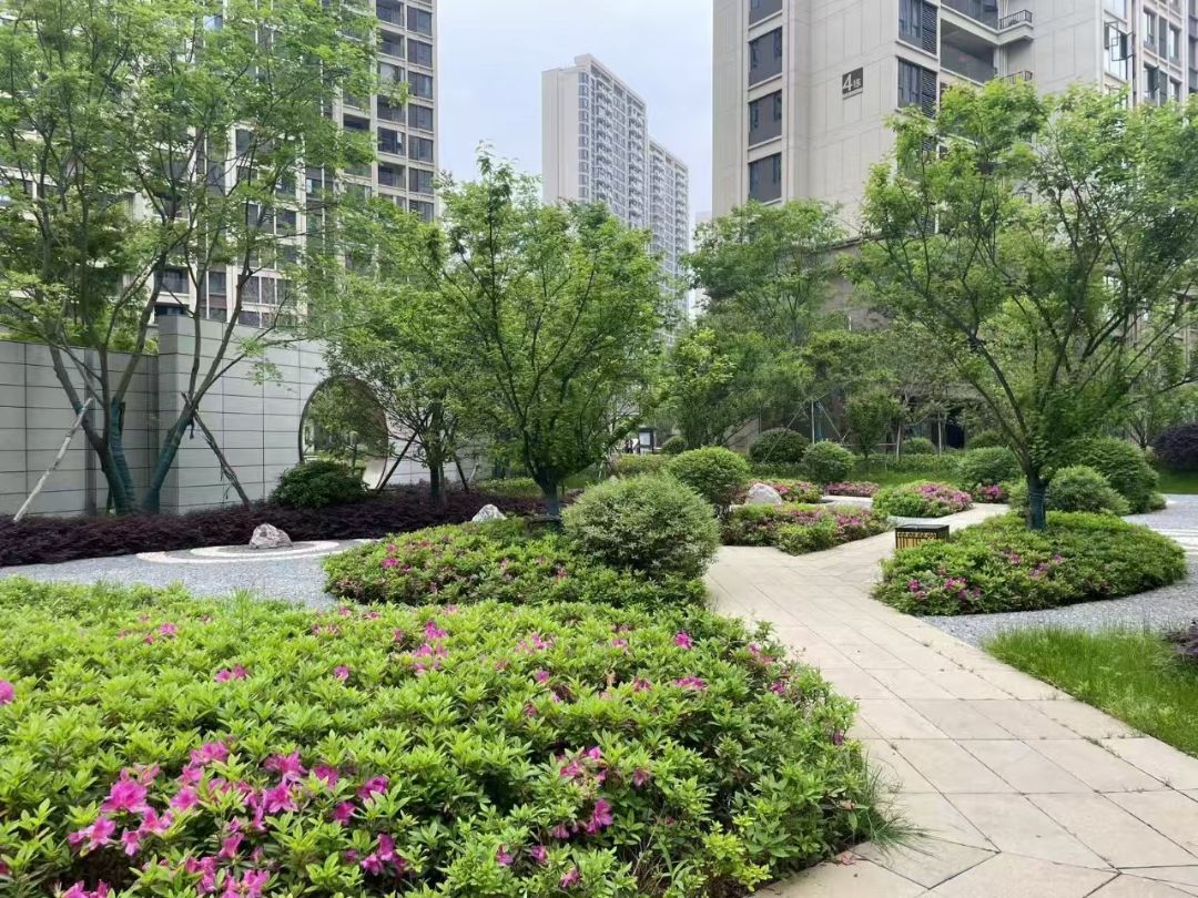 城投丰山府效果图图片