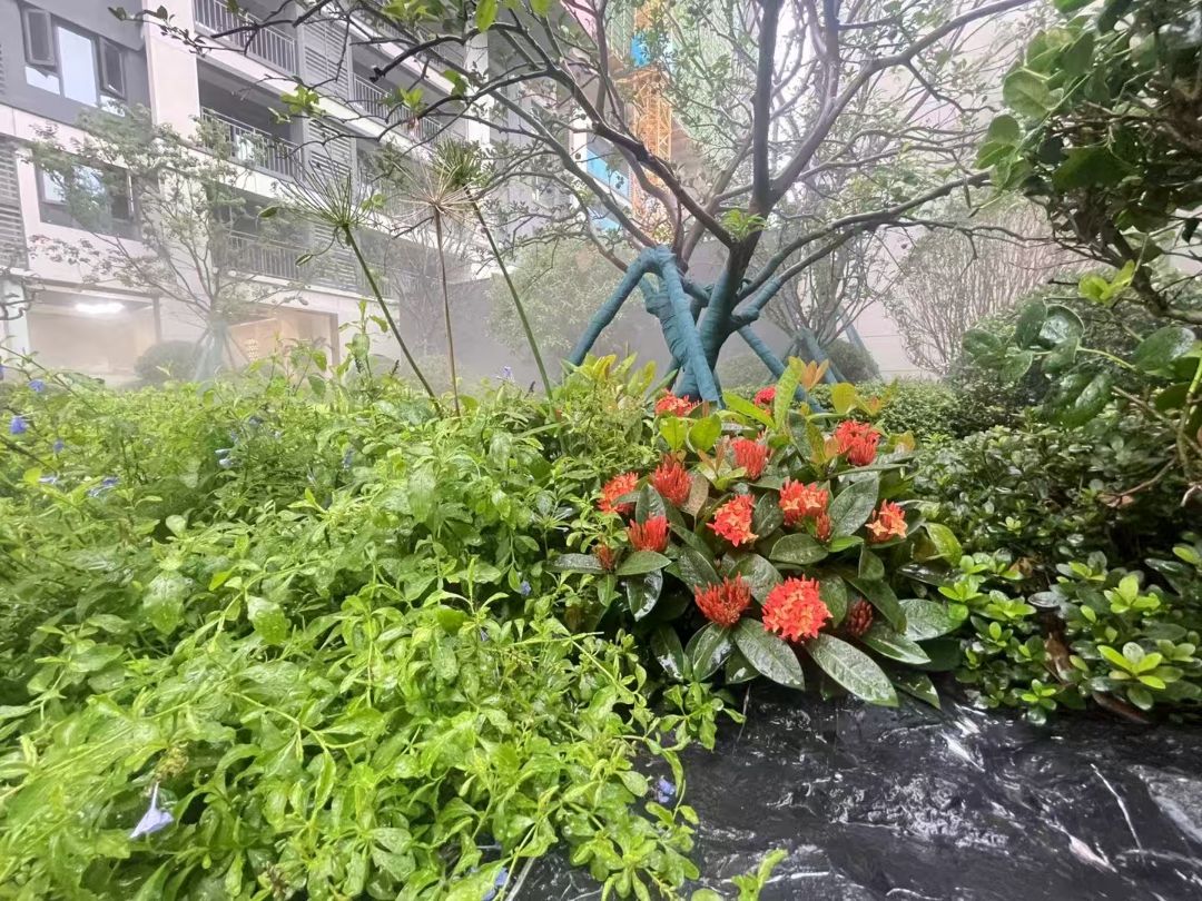 联发悦文华实景图