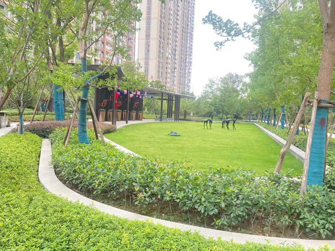 中建铂公馆效果图图片
