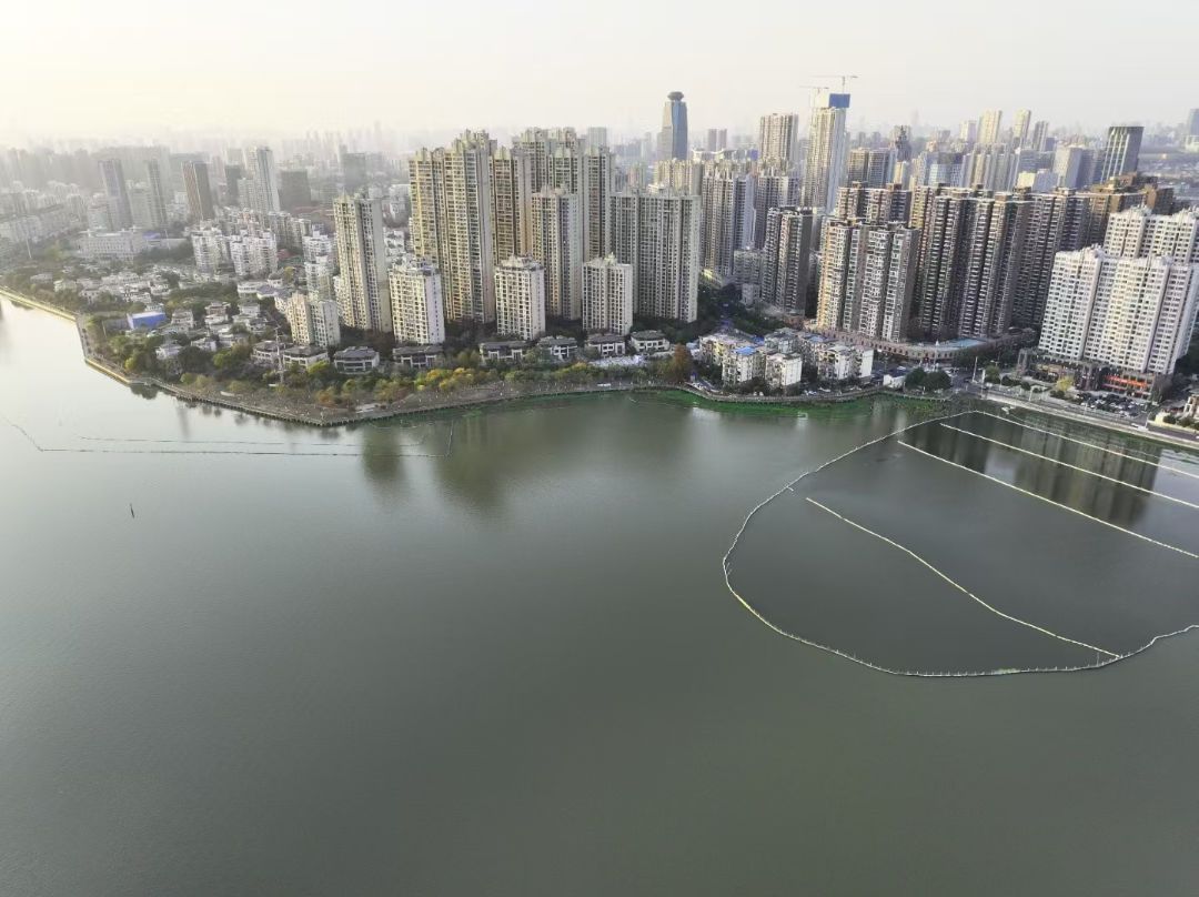 绿城桂湖雲翠效果图图片