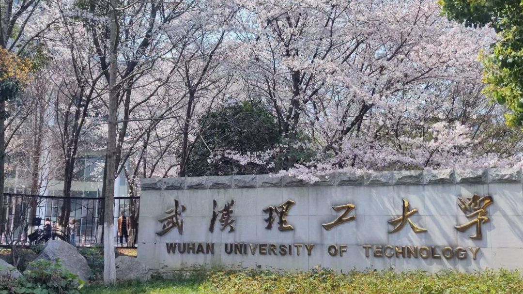 城投禧园配套图