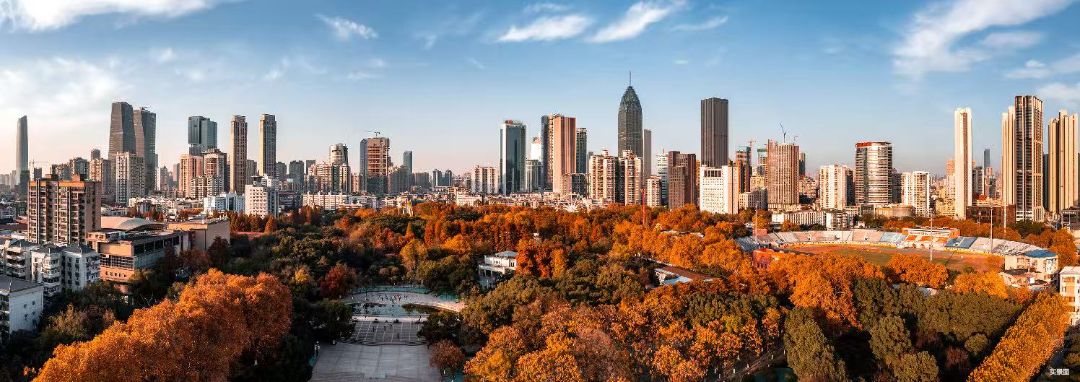 武汉城建中央云城配套图