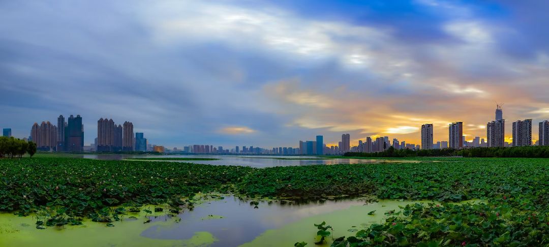 建发.望湖配套图