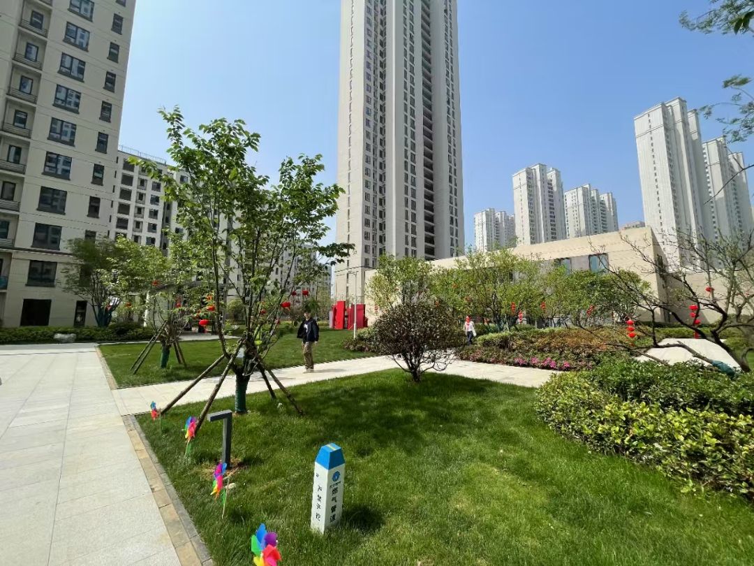 德信江宸实景图