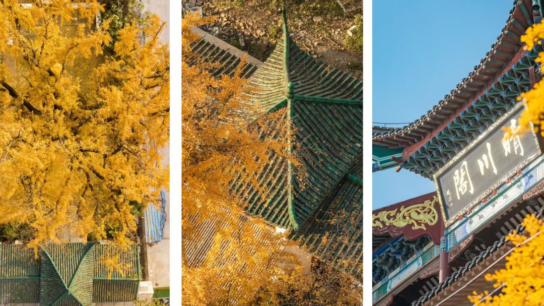 金地.大成乐府配套图