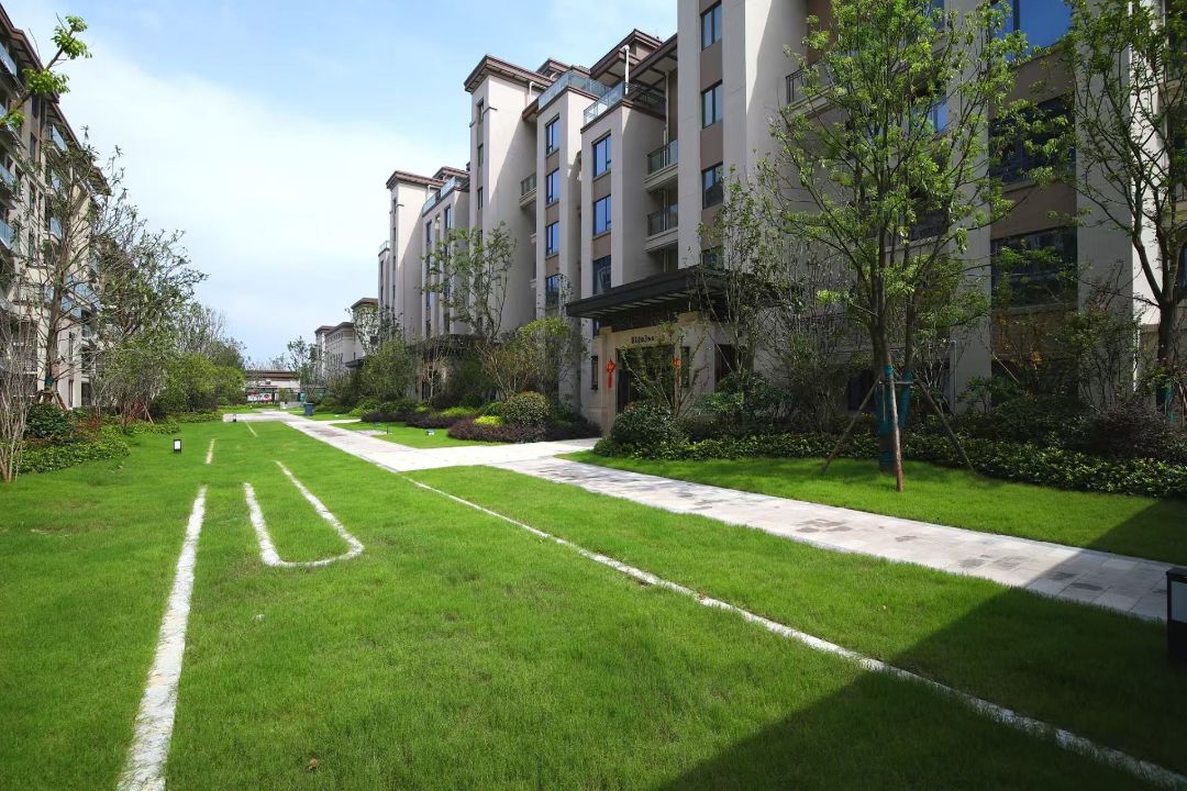 中国健康谷实景图