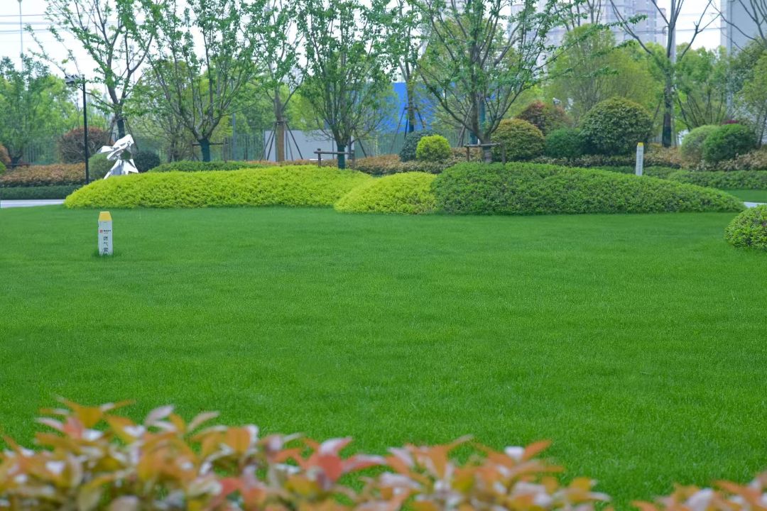 保亿.未来长江城实景图