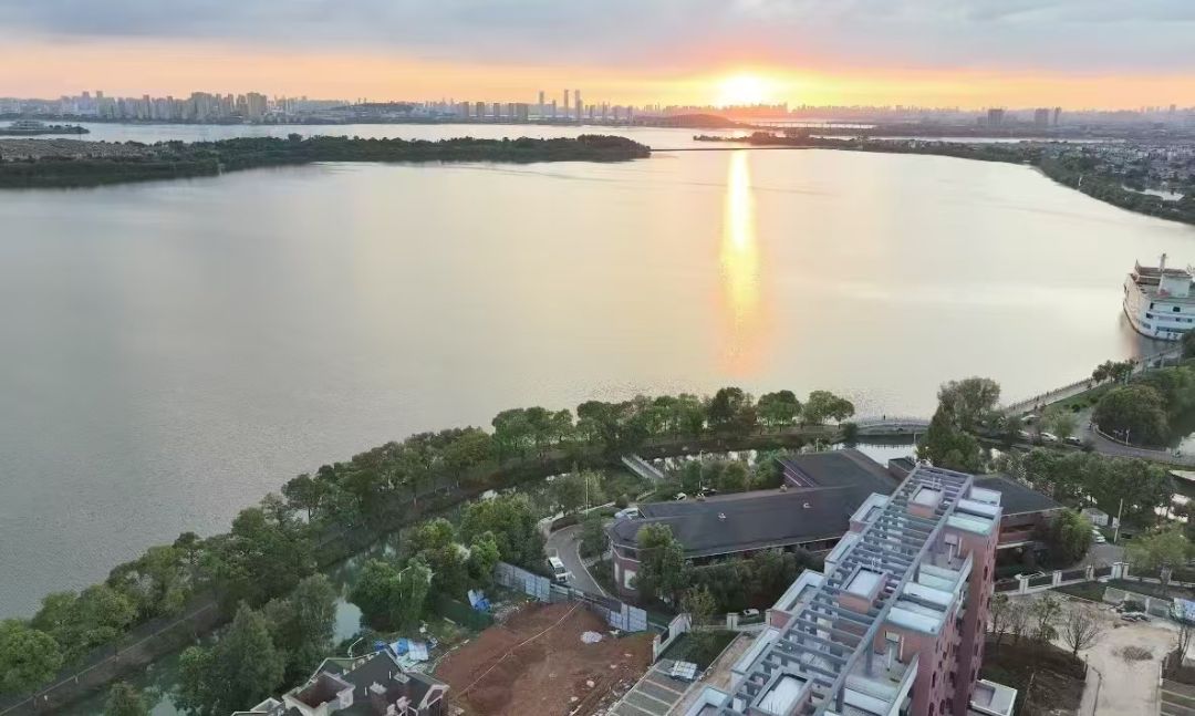 美联藏龙甲第实景图