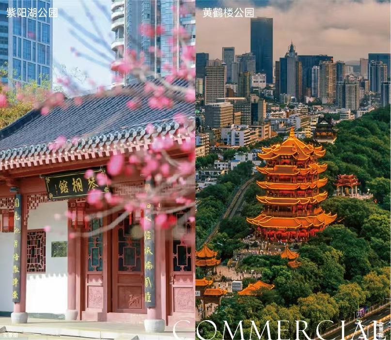 武昌源著效果图图片