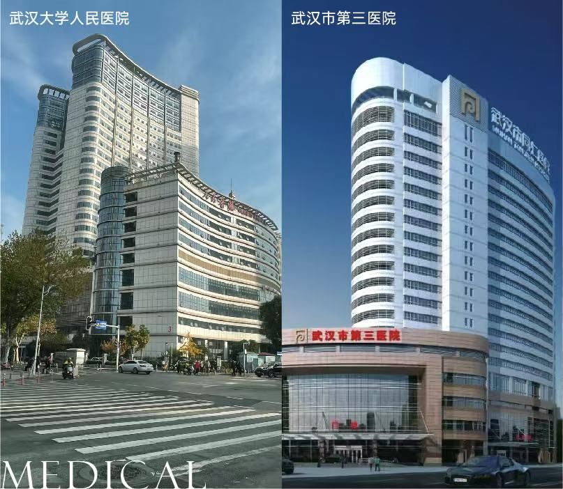 武昌源著效果图图片