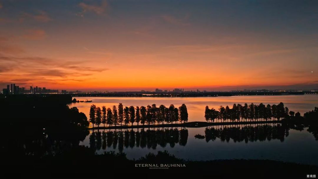 招商.紫荆府效果图图片