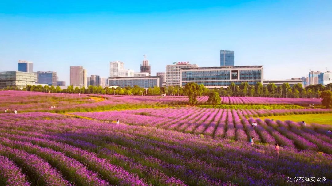 大家.玖宸效果图图片