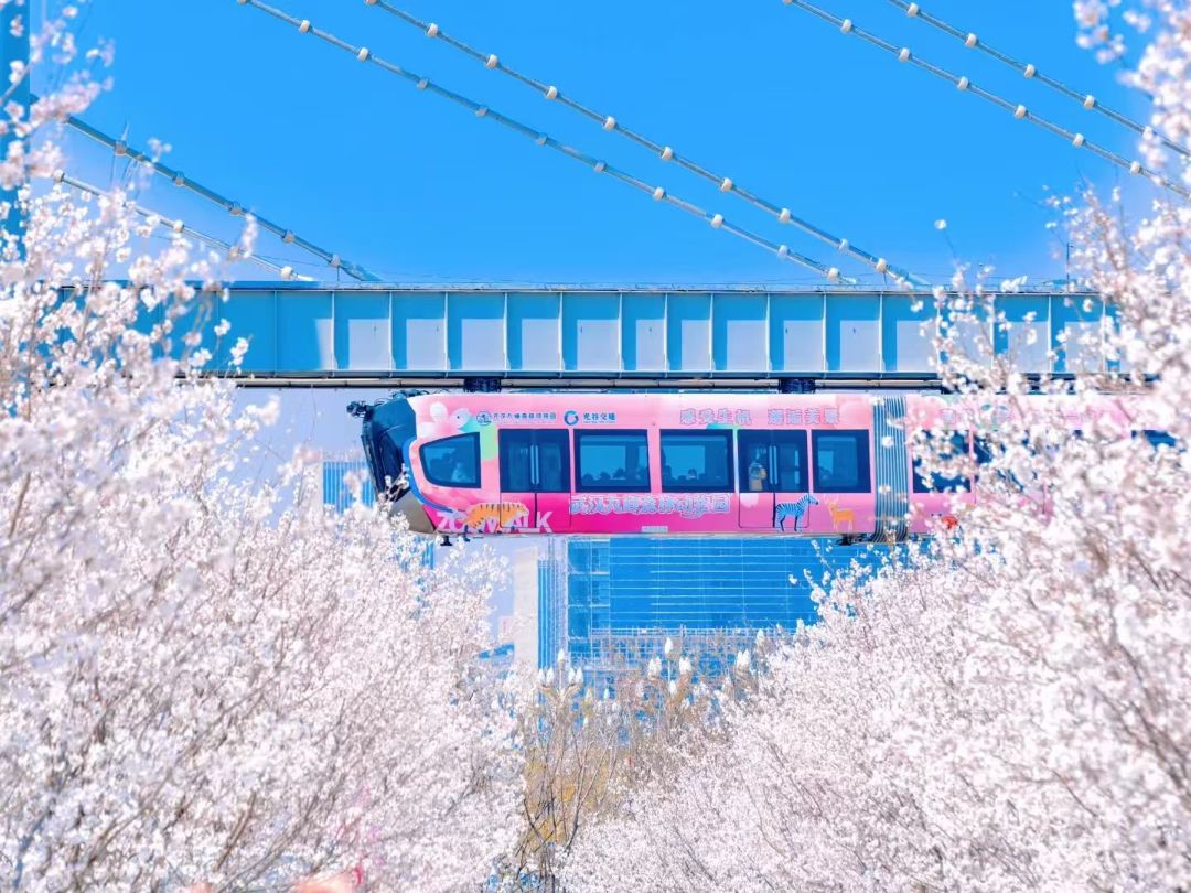 大家.玖宸效果图图片